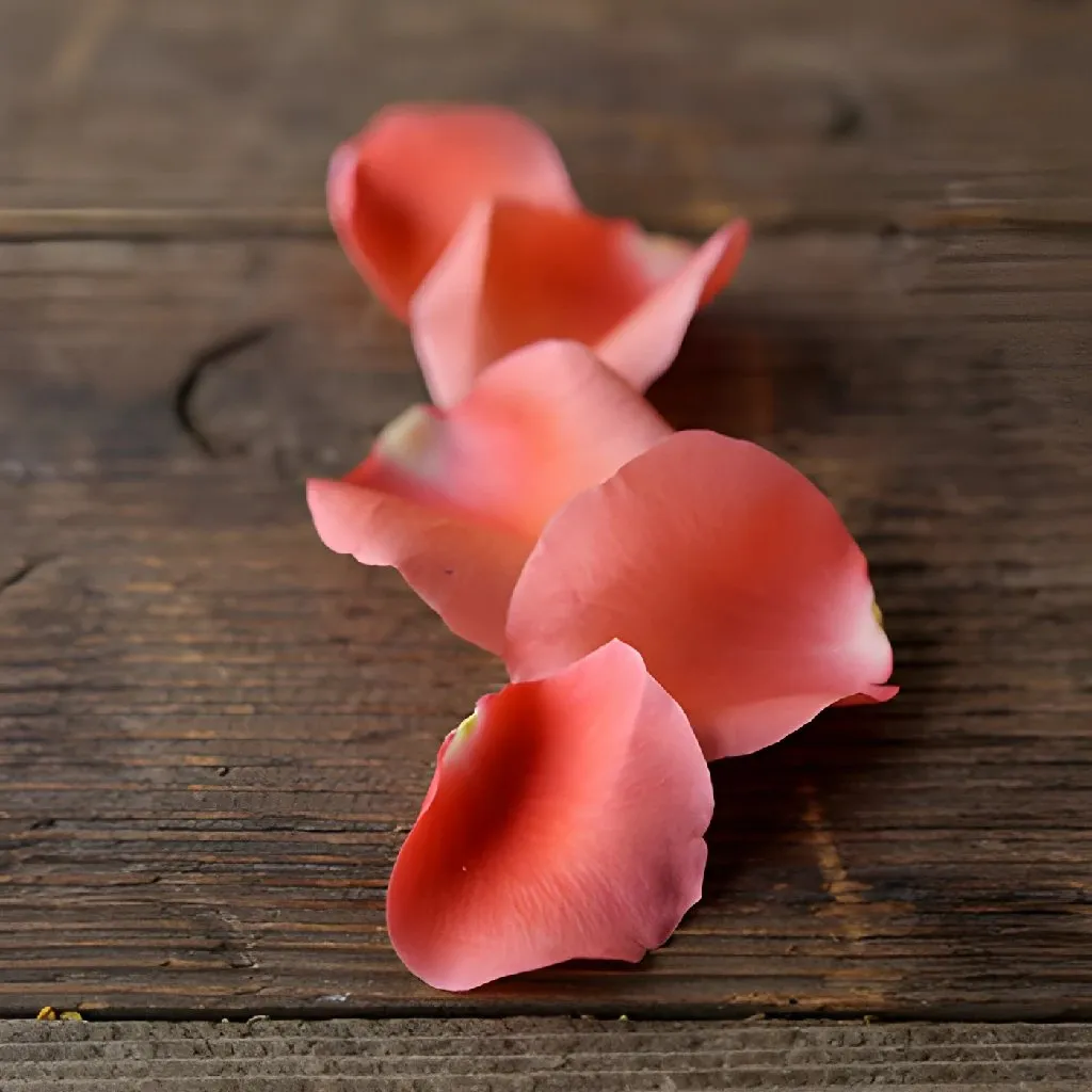 Coral Rose Petals