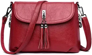 Crossbody Bag for Women with Tassel Functional Shoulder Purse Saddle Messenger Bag