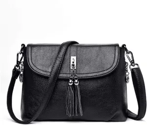 MINTEGRA Crossbody Bag for Women with Tassel Functional Shoulder Purse Saddle Messenger Bag